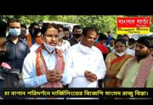 চা বাগান পরিদর্শনে দার্জিলিংয়ের বিজেপি সাংসদ রাজু বিস্তা।