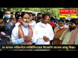 চা বাগান পরিদর্শনে দার্জিলিংয়ের বিজেপি সাংসদ রাজু বিস্তা।