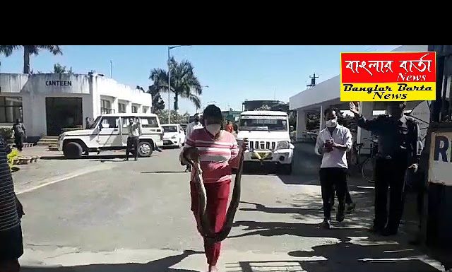 শিলিগুড়ির অদূরে রাঙাপানি ইন্ডিয়ান অয়েল এর ভেতর থেকে একটি প্রায় আট ফুট সাইজের অজগর সাপ উদ্ধার হয়।