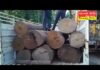 ফের অবৈধ চোরাই কাঠ উদ্ধার করল বনদপ্তর।