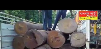 ফের অবৈধ চোরাই কাঠ উদ্ধার করল বনদপ্তর।