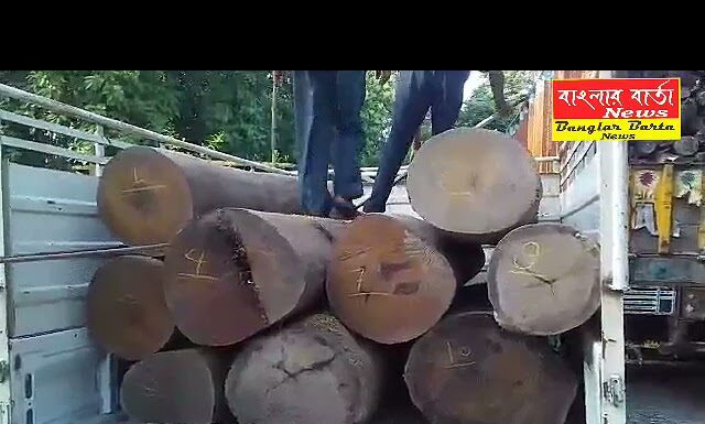 ফের অবৈধ চোরাই কাঠ উদ্ধার করল বনদপ্তর।