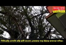 শিলিগুড়ি নেপালি বস্তি রানী বাংলো এলাকায় সুসজ্জিত ভাবে গড়ে উঠছে কামাখ্যা মন্দির।