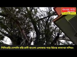 শিলিগুড়ি নেপালি বস্তি রানী বাংলো এলাকায় সুসজ্জিত ভাবে গড়ে উঠছে কামাখ্যা মন্দির।
