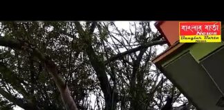 শিলিগুড়ি নেপালি বস্তি রানী বাংলো এলাকায় সুসজ্জিত ভাবে গড়ে উঠছে কামাখ্যা মন্দির।