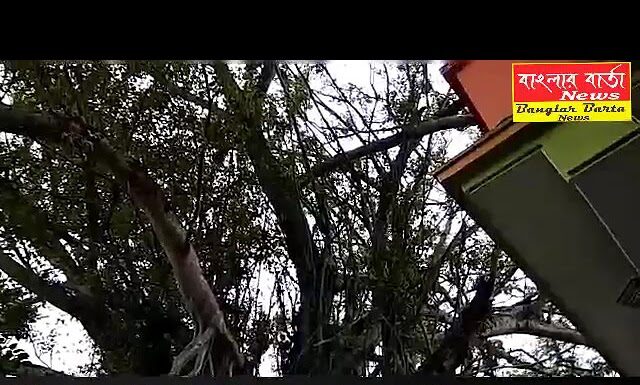 শিলিগুড়ি নেপালি বস্তি রানী বাংলো এলাকায় সুসজ্জিত ভাবে গড়ে উঠছে কামাখ্যা মন্দির।