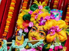 শিলিগুড়ি ইস্কন মন্দির আজ থেকে শুরু হলো চন্দন যাত্রা।