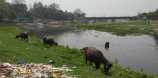 মহানন্দা নদীর চরে ছবি কবে বদলাবে?