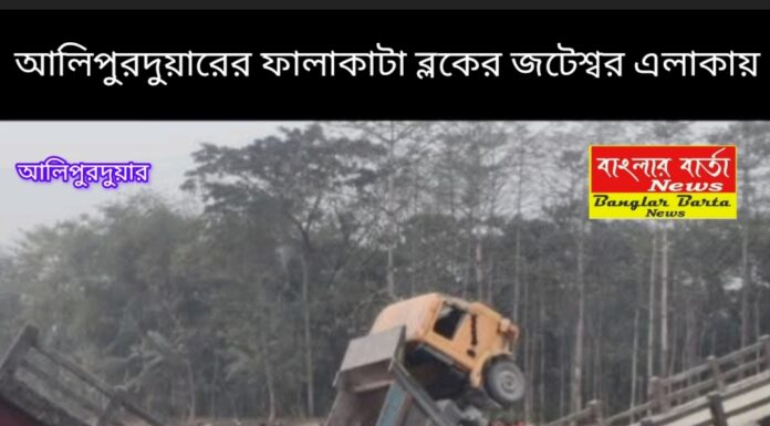 দুর্বল সেতু ভেঙে বড় বিপত্তি।